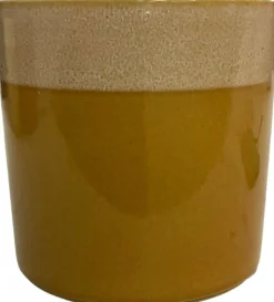 Intratuin Blumentopf Max orange D 13 H 13 cm