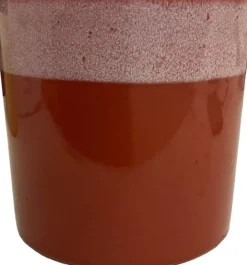 Intratuin Blumentopf Max braun D 13 H 13 cm