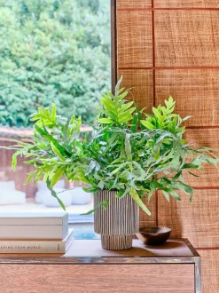 Intratuin Blumentopf Milan schwarz D 17 H 22 cm