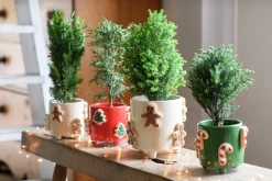 Intratuin Blumentopf mit Füßen Jiya Weihnachtsbaum rot D 16 H 15 cm