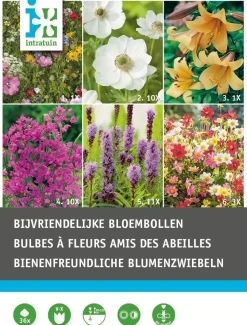 Intratuin Blumenzwiebel-Mischung bienenfreundliche Blumen 36 St.