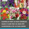 Intratuin Blumenzwiebel-Mischung für 100 Tage Sommerblüten 60 St.