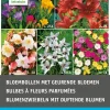 Intratuin Blumenzwiebel-Mischung mit duftenden Blumen 58 St.