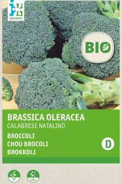 Intratuin Brokkoli (Brassica oleracea 'Calabrese Natalino') (BIO) Samen