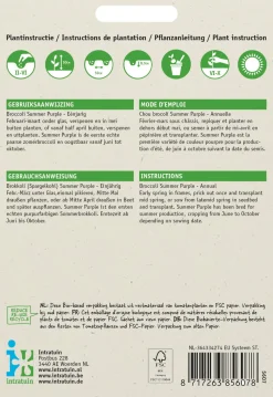 Intratuin Brokkoli (Brassica italicum 'Summer Purple') Samen