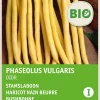 Intratuin Buschbohne gelb (Phaseolus vulgaris 'Dior') (BIO) Samen