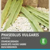Intratuin Buschbohne (Phaseolus vulgaris 'Admires') Samen