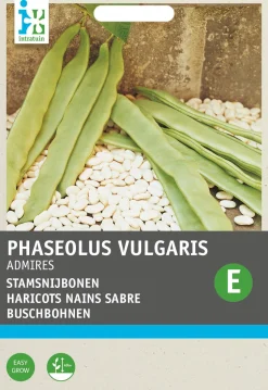 Intratuin Buschbohne (Phaseolus vulgaris 'Admires') Samen