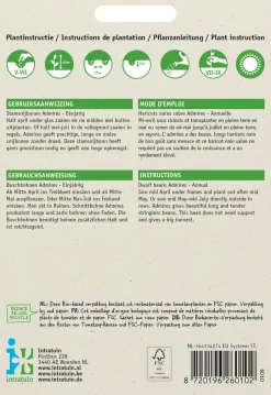 Intratuin Buschbohne (Phaseolus vulgaris 'Admires') Samen