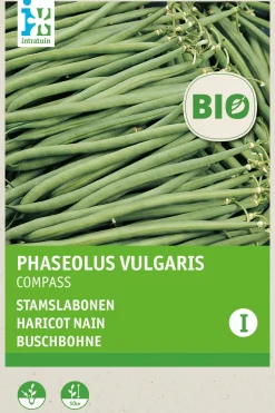Intratuin Buschbohne (Phaseolus vulgaris 'Compass') (BIO) Samen