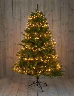 Intratuin Cluster-Lichterkette 20 m mit 1536 LED Lämpchen klassisch warm