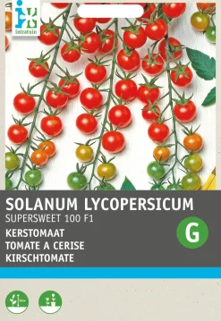 Intratuin Cocktailtomate (Solanum lycopersicum 'Supersweet 100 F1') Samen