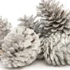 Intratuin Deko-Tannenzapfen groß weiß 200 g