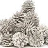 Intratuin Deko-Tannenzapfen weiß 200 g
