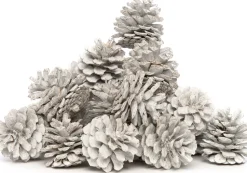 Intratuin Deko-Tannenzapfen weiß 200 g