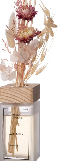 Intratuin Duftstäbchen Trockenblume Water lilly 100 ml