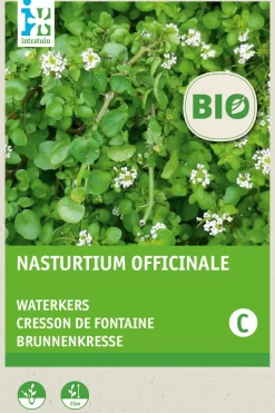 Intratuin Echte Brunnenkresse (Nasturtium officinale) (BIO) Kressesamen