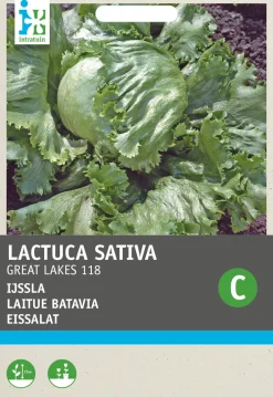 Intratuin Eisbergsalat (Lactuca sativa 'Great-Lakes 118') Samen