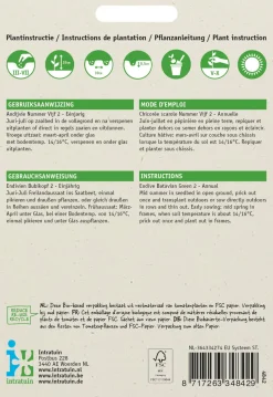 Intratuin Endivie (Cichorium endivia 'Bubikopf 2') Samen