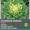 Intratuin Endivie (Cichorium endivia 'Nuance') Samen