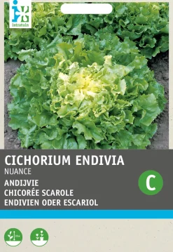 Intratuin Endivie (Cichorium endivia 'Nuance') Samen