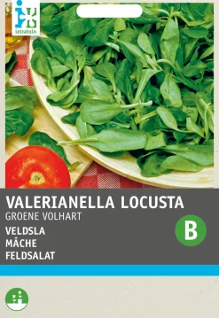 Intratuin Feldsalat (Valerianella olitoiria 'Vollherzig') Samen