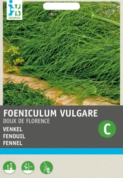 Intratuin Fenchel (Foeniculum vulgare 'Doux de Florence') Samen