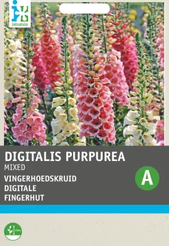 Intratuin Fingerhut (Digitalis pupurea 'Gloxiniiflora') Blumensamen