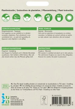 Intratuin Fingerhut (Digitalis pupurea 'Gloxiniiflora') Blumensamen