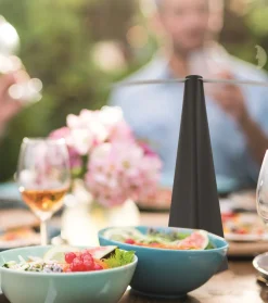 Intratuin Fliegenwedler schwarz 8 x 8 x 25,5 cm