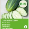 Intratuin Freilandgurke (Cucumis sativus 'Marketmore') (BIO) Samen