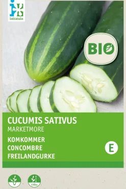 Intratuin Freilandgurke (Cucumis sativus 'Marketmore') (BIO) Samen