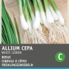 Intratuin Frühlingszwiebel (Allium cepa 'White Lisbon') Samen