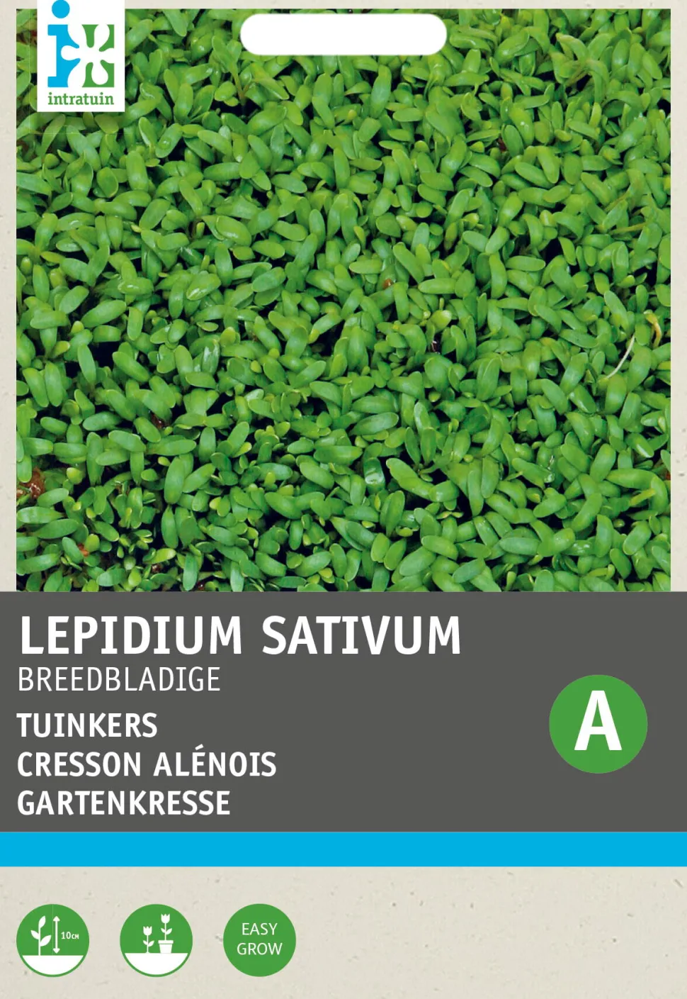 Intratuin Gartenkresse groß- / breitblättrig (Lepidium sativum) Kressesamen