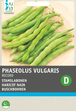 Intratuin Gemüsesamen Buschbohnen (Phaseolus vulgaris 'Record')