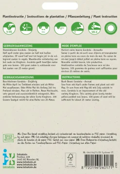 Intratuin Gemüsesamen Buschbohnen (Phaseolus vulgaris 'Gondola')