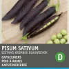 Intratuin Gemüsesamen Kapuzinererbsen (Pisum sativum 'Ezethe's Krombek Blauwschok')
