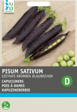 Intratuin Gemüsesamen Kapuzinererbsen (Pisum sativum 'Ezethe's Krombek Blauwschok')