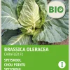 Intratuin Gemüsesamen Spitzkohl (Brassica oleracea 'Caraflex f1') (BIO) Samen