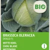 Intratuin Gemüsesamen Weißkohl (Brassica oleracea 'Drago F1') (BIO) Samen