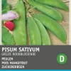 Intratuin Gemüsesamen Zuckererbsen (Pisum sativum 'Grijze Roodbloeiende')