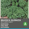 Intratuin Grünkohl (Brassica oleracea 'Westlandse Herfst') Samen