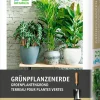 Intratuin Grünpflanzenerde 15 l