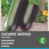 Intratuin Gurke (Cucumis sativus 'Johanna') Samen