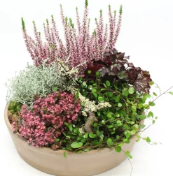 Intratuin Herbst-Arrangement in Terracotta D 31 H 30 cm