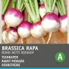 Intratuin Herbstrübe (Brassica rapa 'Runde Weiße Rotköpfige') Samen