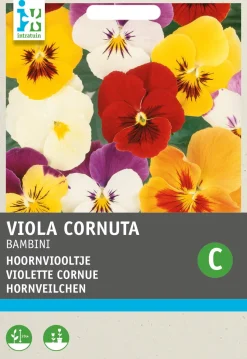 Intratuin Hornveilchen (Viola cornuta 'Bambini') Blumensamen-Mischung