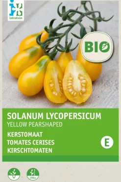 Intratuin Kirschtomate (Lycopersicon esculentum 'Yellow Pearshaped') (BIO) Samen