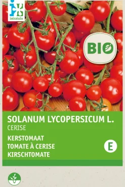 Intratuin Kirschtomate (Solanum lycopersicum 'Cerise') (BIO) Samen
