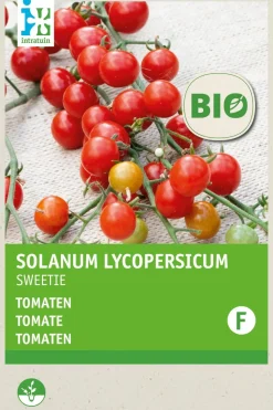 Intratuin Kirschtomate (Solanum lycopersicum 'Sweety') (BIO) Samen